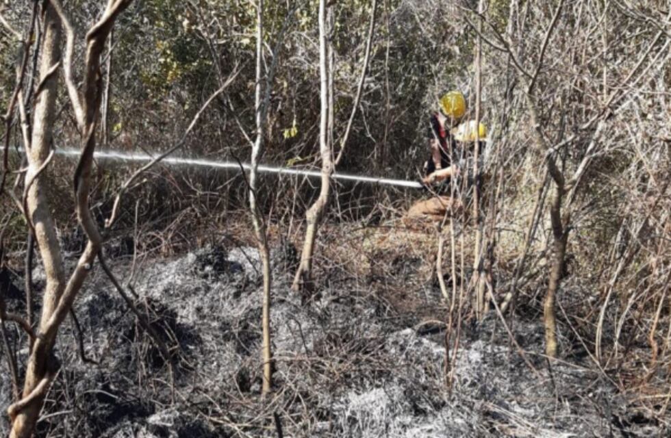 Bomberos voluntarios de Puerto Iguazú sofocan incendio en las 2.000 Hectáreas