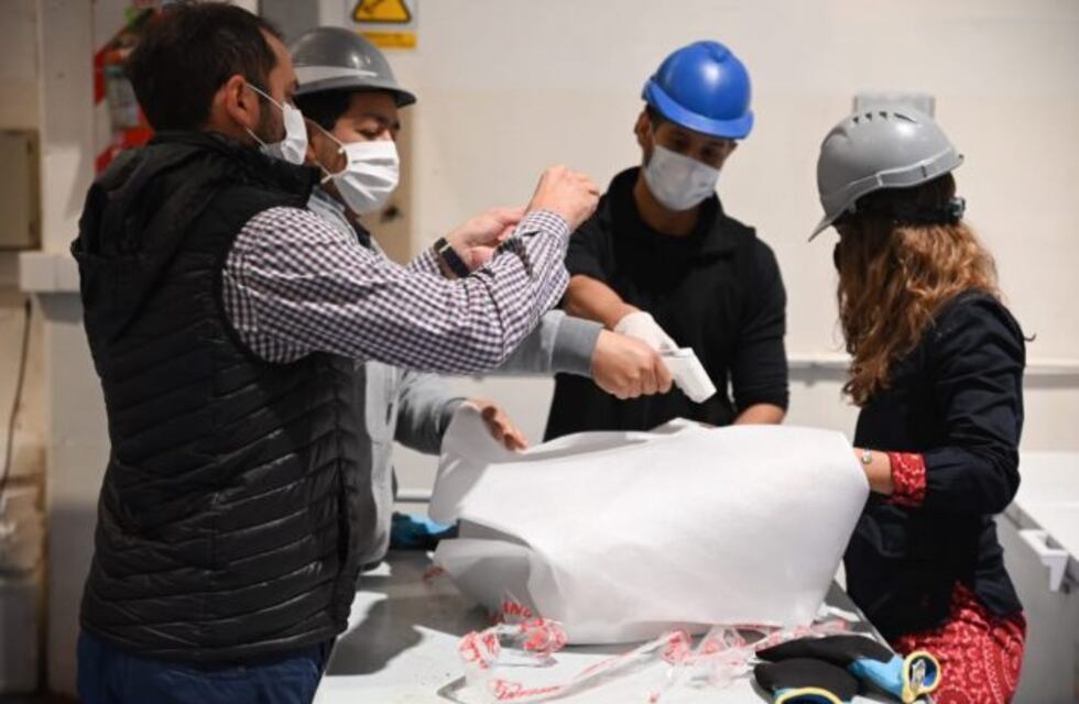 Coronavirus en San Luis: este viernes hubo 6 muertos y 423 nuevos casos