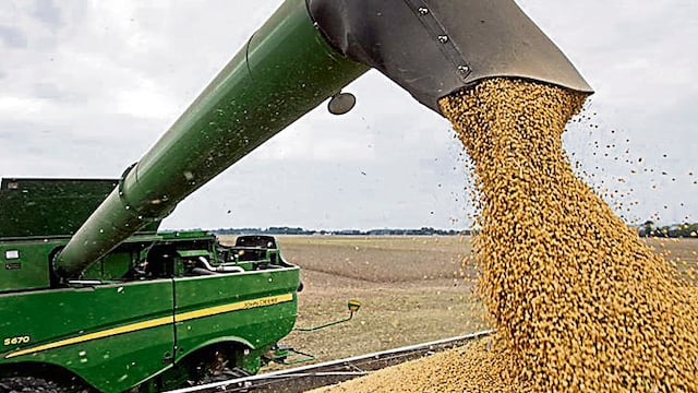 Soja. El precio de la soja sigue a la baja y golpea a la Argentina. (Imagen ilustrativa)