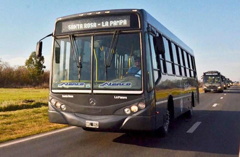 Llegaron a Santa Rosa los primeros 8 micros del Ente Municipal de Transporte Urbano