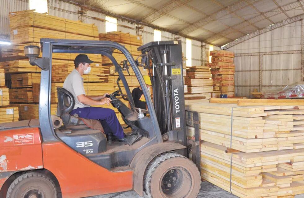 Eldorado: advierten sobre la baja en la demanda de casas de madera