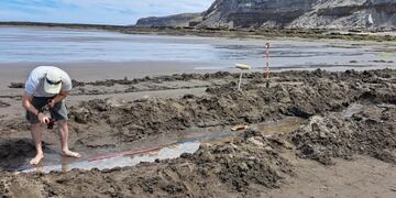 El fósil fue encontrado en el Camino de la Costa, Neuquén.captura