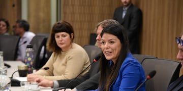 La diputada Emilia Orozco (LLA-Salta) en la Comisión de Libertad de Expresión (Foto: HCDN)