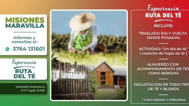 Viví una experiencia placentera y disfrutá conociendo la Ruta del Té con Misiones Maravilla EVT.