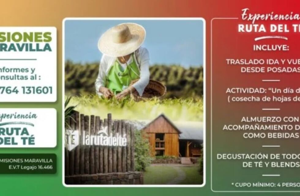 Viví una experiencia placentera y disfrutá conociendo la Ruta del Té con Misiones Maravilla EVT