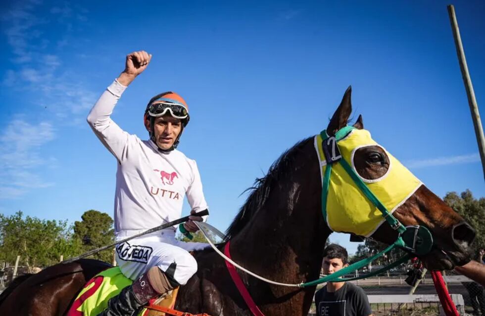 No es solo un caballo de carrera: conocé a Croupier, pilar fundamental para su cuidador con mal de Parkinson