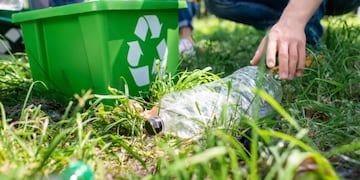 Este 5 de junio se conmemora el Día Mundial del Medio Ambiente.