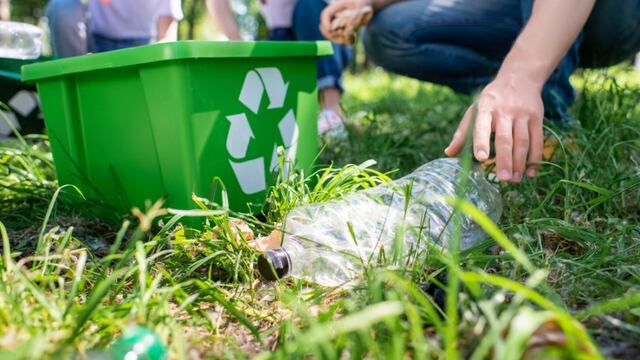 Este 5 de junio se conmemora el Día Mundial del Medio Ambiente.