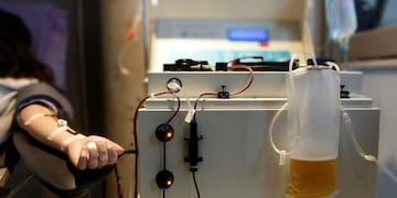 DONACIÓN DE PLASMA (Gentileza Laboratorio de Hemoderivados).