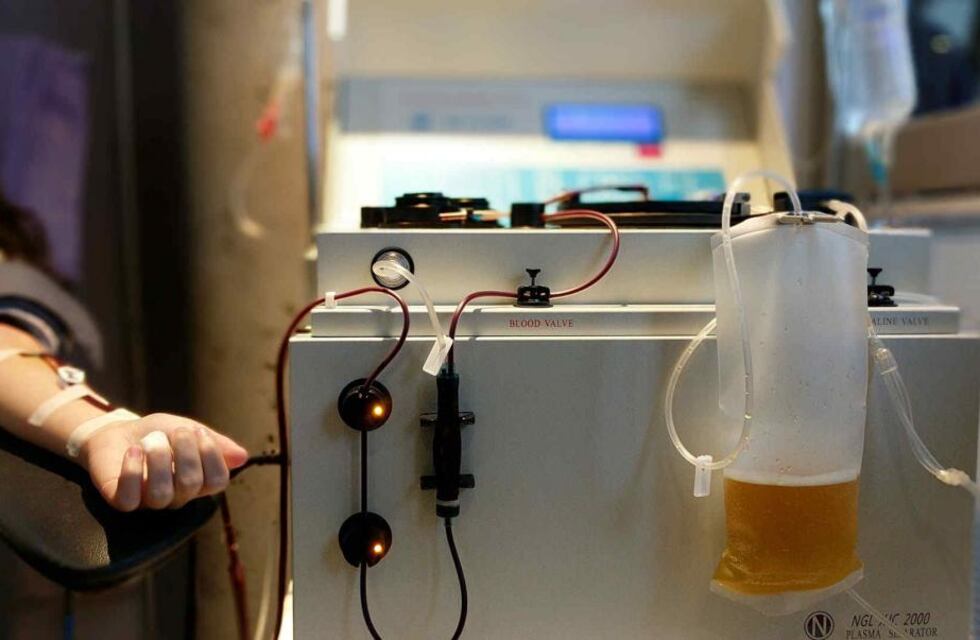 Convocan a pacientes recuperados de Fiebre Hemorrágica Argentina para donar plasma