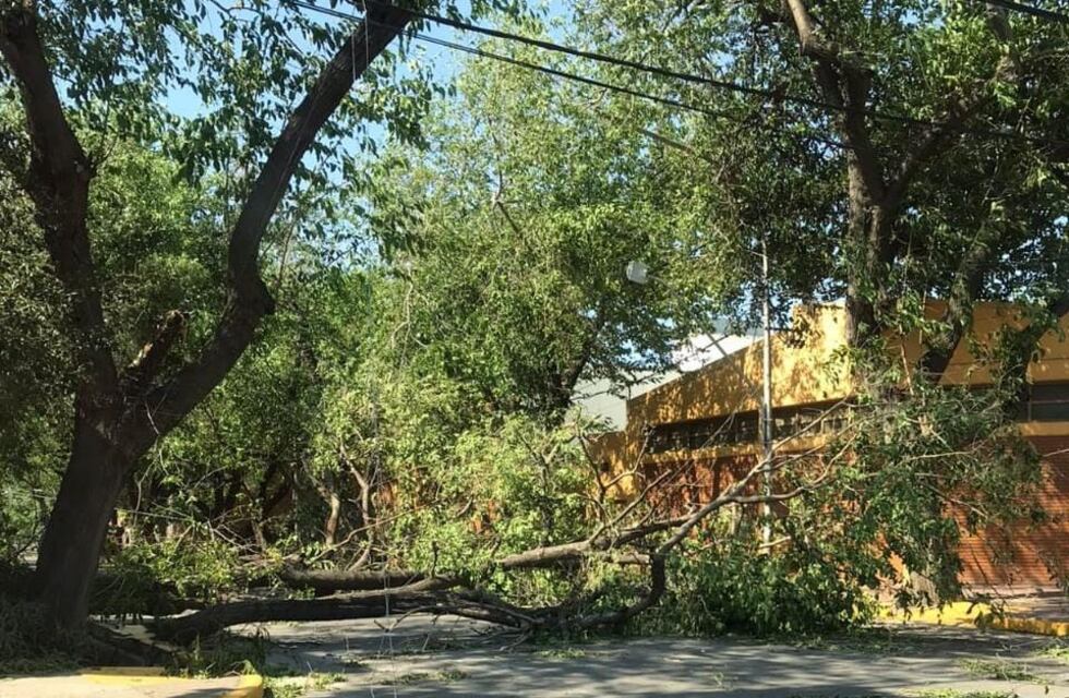 Suspenden las clases este lunes 30 de octubre en Mendoza tras el paso del dañino Zonda