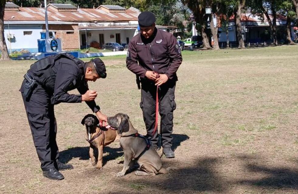 Espartaco y Roma, los nuevos guardianes de la seguridad tucumana