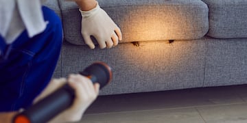 El truco casero que las ahuyentará de tu casa.