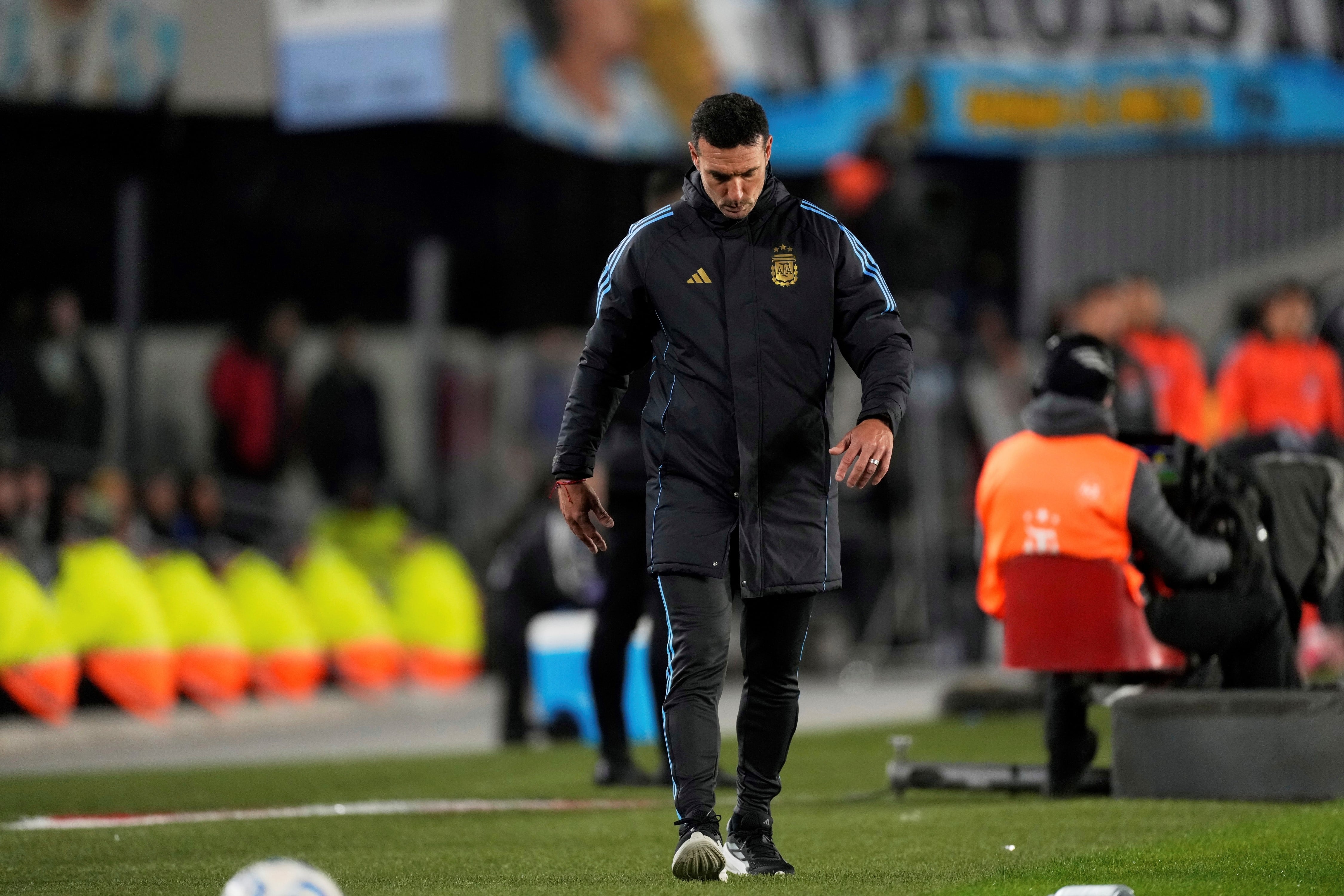 Lionel Scaloni, DT de la selección argentina de fútbol. (AP)