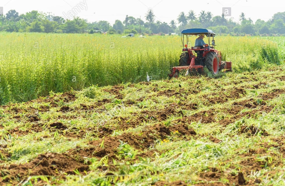 Impulsando nuevas estrategias en el campo con el abono verde