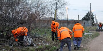 Trabajos de la Coordinación de Higiene Urbana