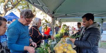 Otra edición de Feria "desde el origen"
