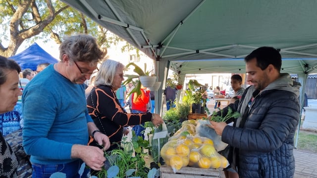 Otra edición de Feria "desde el origen"
