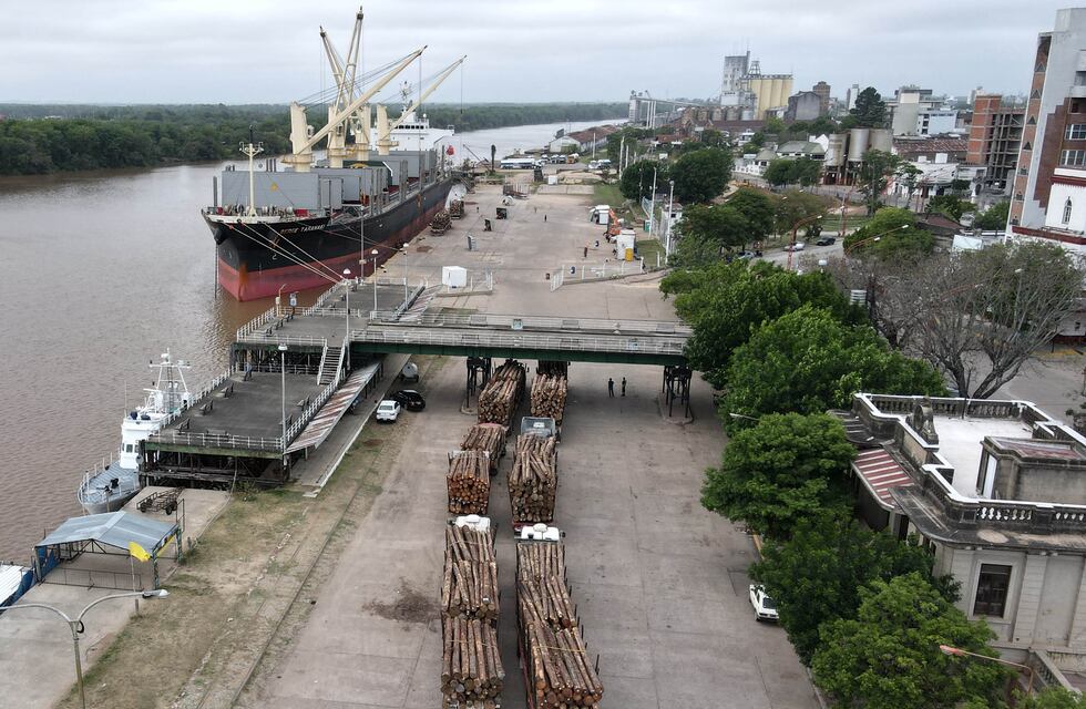 Los puertos entrerrianos siguen sumando exportaciones a la India
