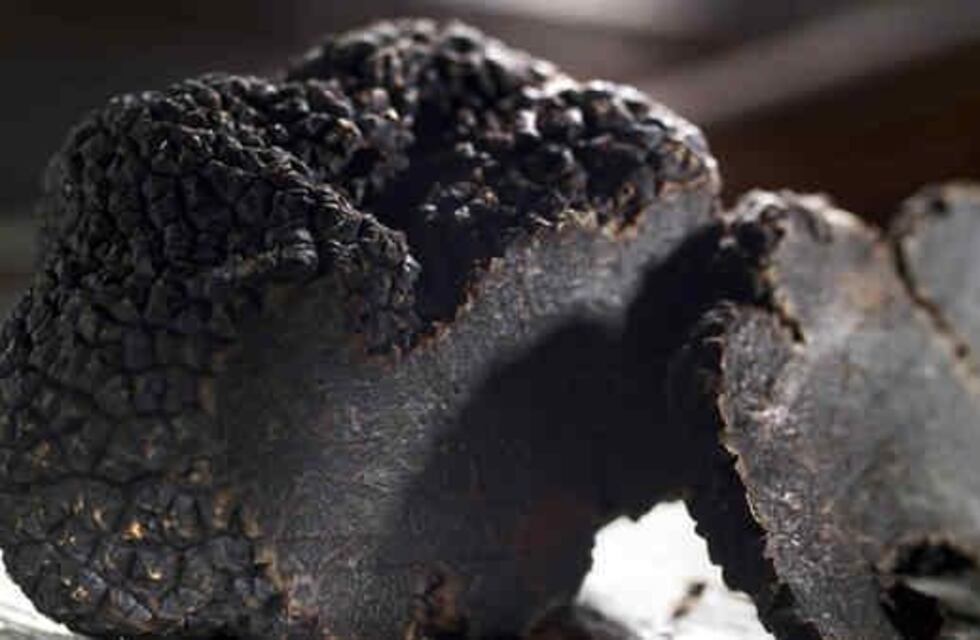 La trufa argentina se abre paso en el mercado francés