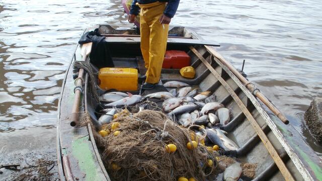 El permiso provincial se restringió a martes, miércoles y jueves.