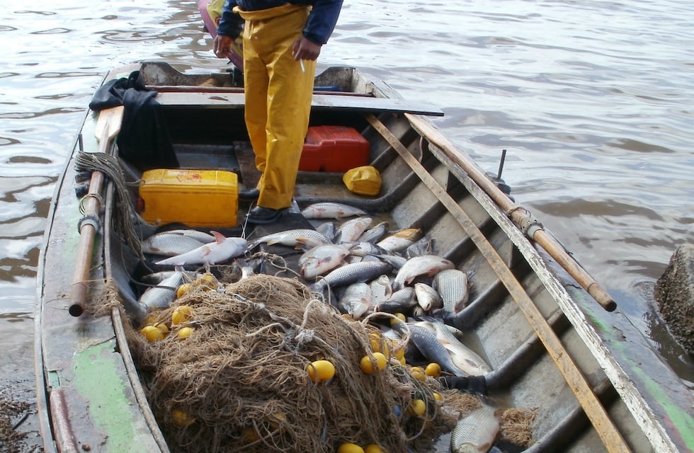 Santa Fe agregó un día de veda de pesca comercial por bajante del río Paraná