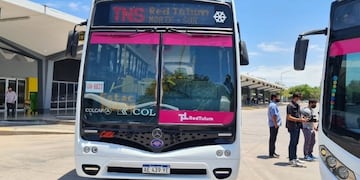 Red Tulum, el nuevo sistema de transporte de San Juan.