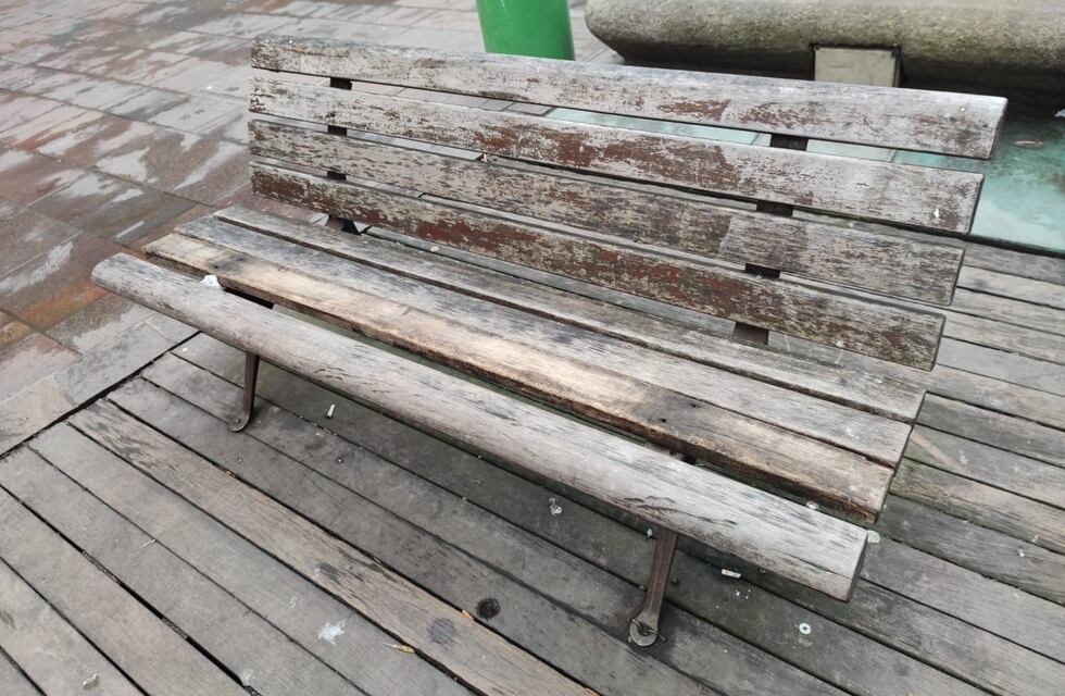 “El estado de la peatonal denota otro abandono en gestión por parte del municipio”