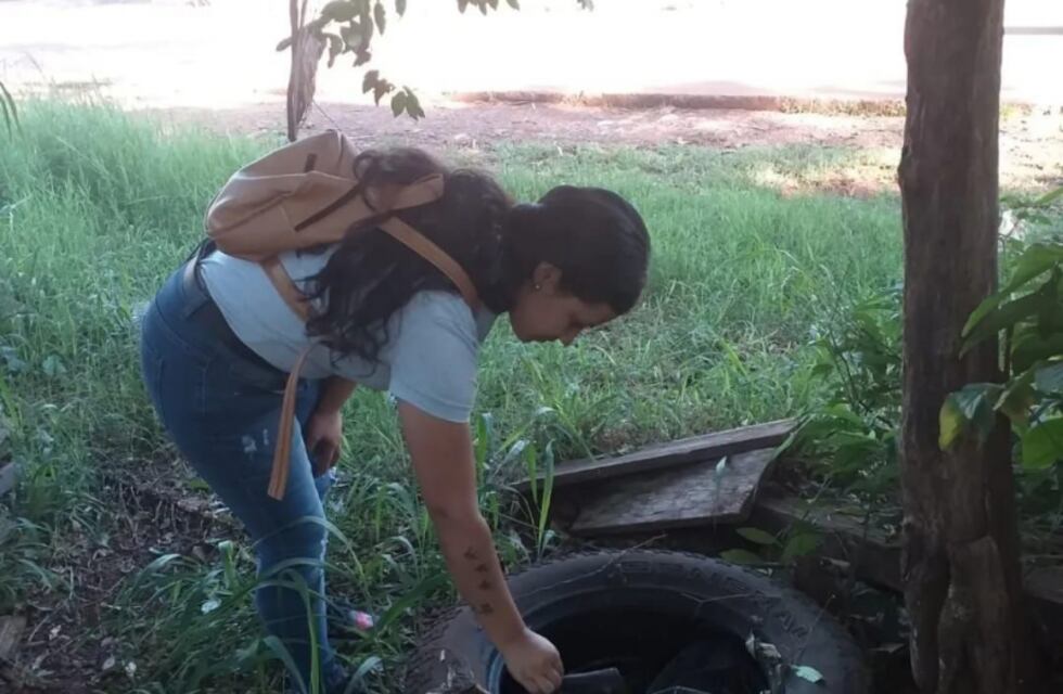 Realizan operativos de prevención de vectores en Eldorado