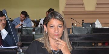 Silvina Abilés busca eximir de votar a las personas de riesgo