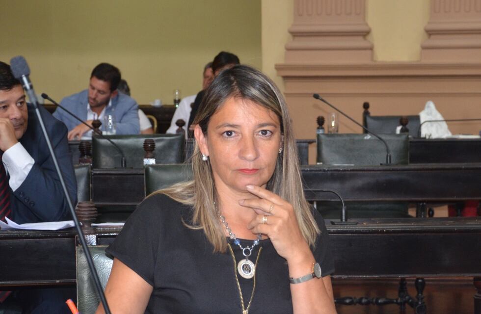 Una senadora salteña busca eximir de votar a las personas de riesgo