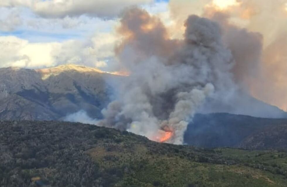 Incendio forestal en Río Negro: más de 60 brigadistas trabajan para combatir el fuego en El Bolsón