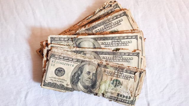 Dólares. Foto: La Nación