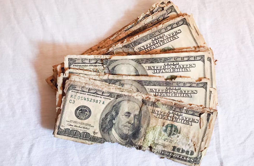 Dólar 2025: qué billetes dejarán de circular desde mayo y cómo cambiarlos fácilmente