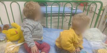 Los pequeños tenían heridas producto de no haber sido cambiados periódicamente.