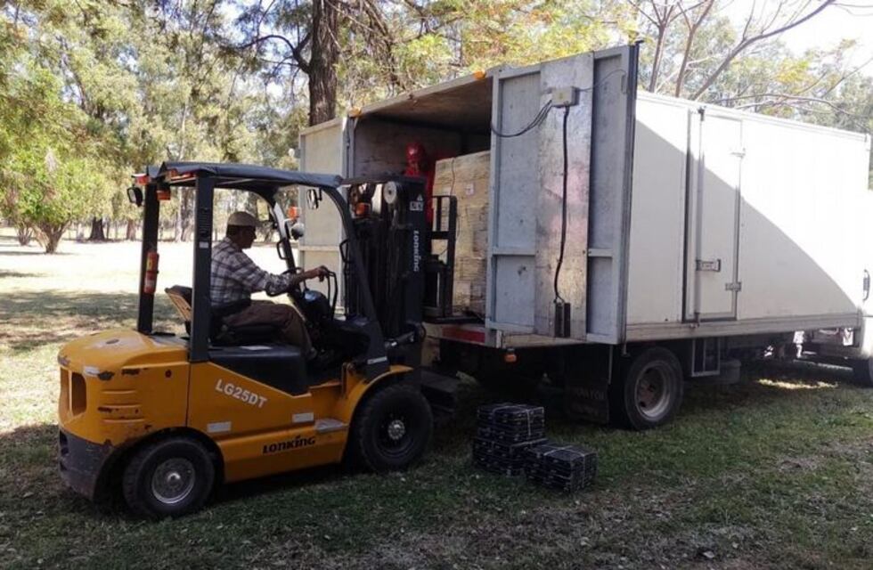 Un pueblo santafesino de 3.300 habitantes recibió una donación de 15.000 libros