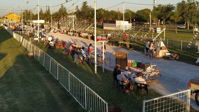 Hasenkamp restringe actividades