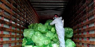 Jornada itinerante de recolección de envases vacíos de Fitosanitarios en Gonzales Chaves