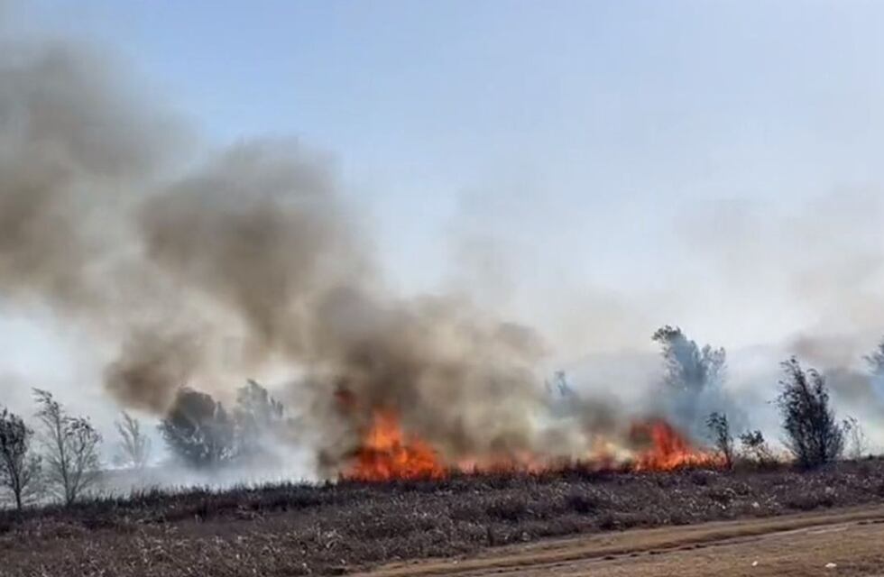 Bomberos combaten un impactante incendio cerca de una concesionaria de autos en Córdoba