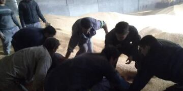 El hombre quedó atrapado durante dos horas bajo el maíz.