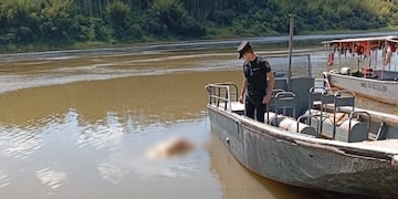 Puerto Libertad: hallan un cuerpo en el río Paraná con signos que obligan a investigar un posible crimen.