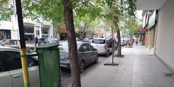 colocación de 50 cestos de basura en la ciudad