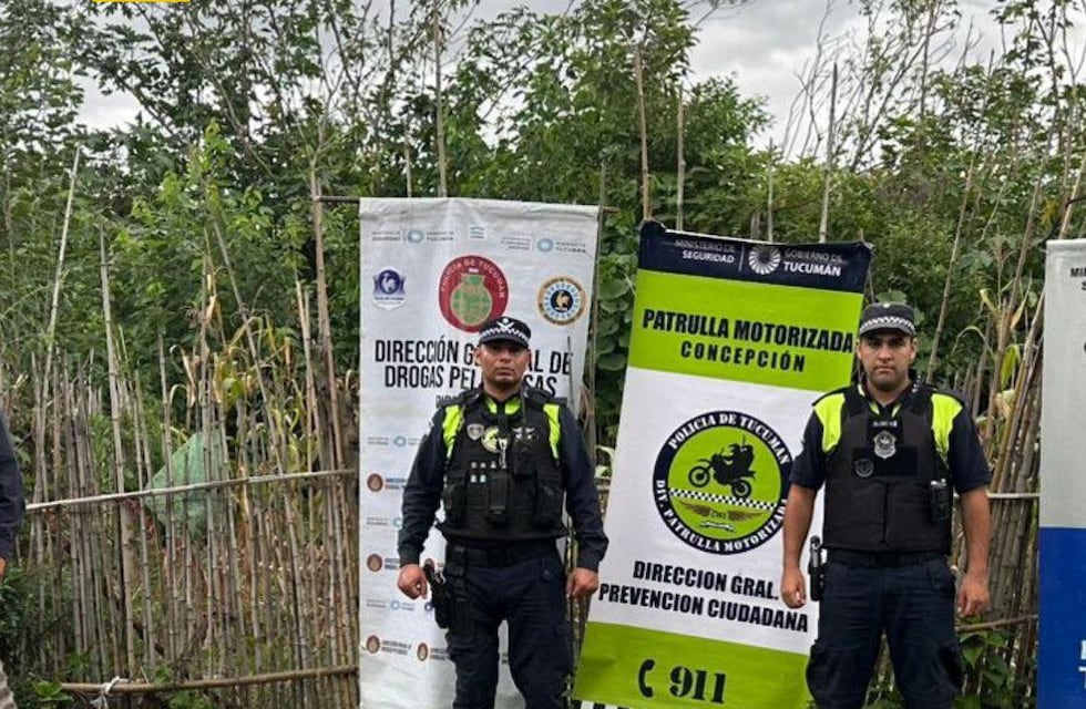 Buscaban una moto robada y encontraron un cercado con 17 plantas de cannabis