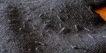 Cuál es el truco definitivo para quitar las pelotitas al pulóver.