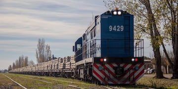 Los ladrones sacaron 39 durmientes de la vía del tren.