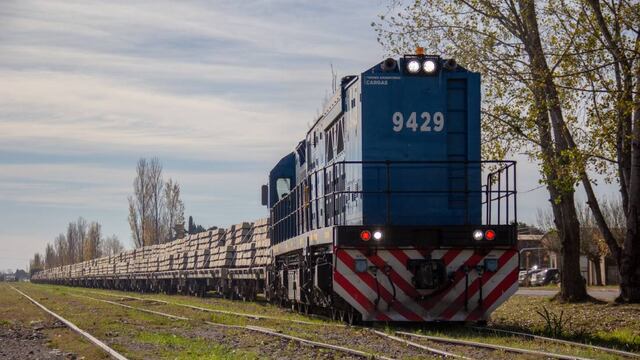 Los ladrones sacaron 39 durmientes de la vía del tren.