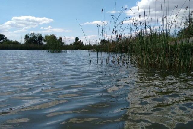 El Consejo Profesional de Ingeniería Agronómica y la Ley de Humedales