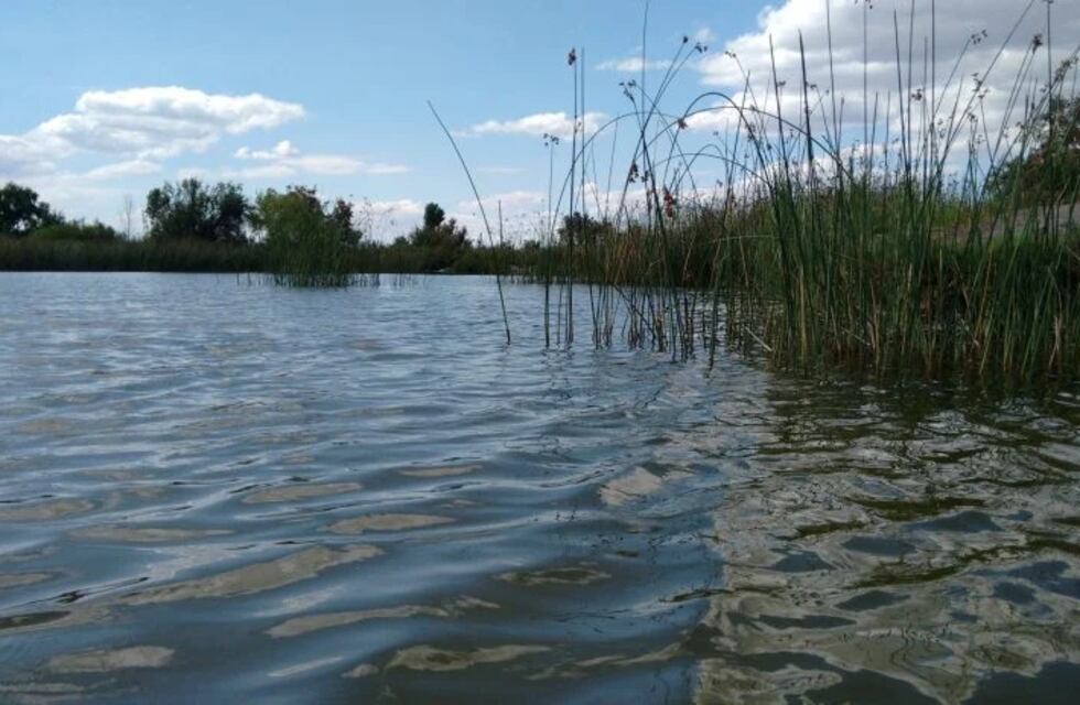 El Consejo Profesional de Ingeniería Agronómica y la Ley de Humedales