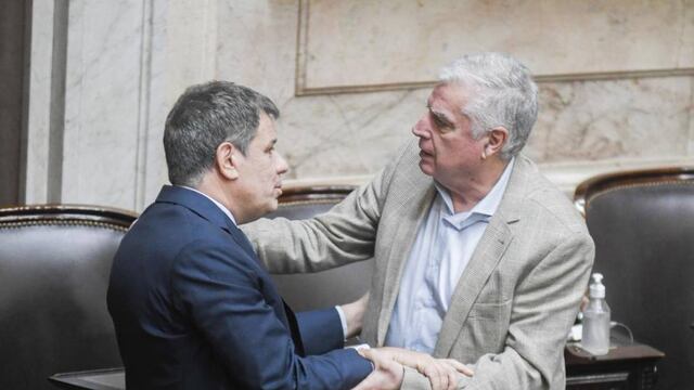 Los diputados Carlos Gutiérrez y Facundo Manes durante la sesión en Diputados (Foto: Federico López Claro)