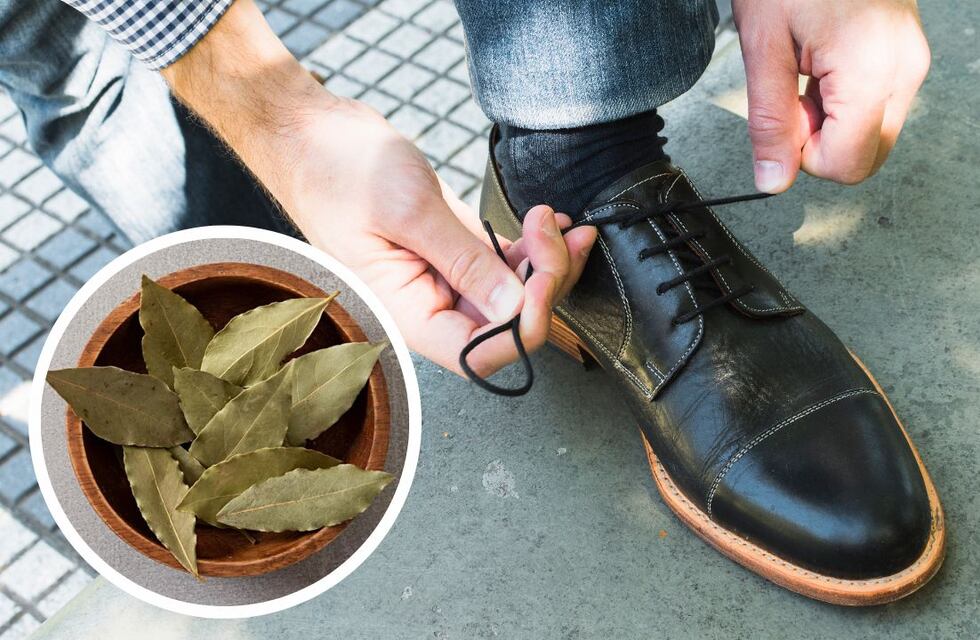 Cuál es el significado de colocar una hoja de laurel en el zapato, según el Feng Shui